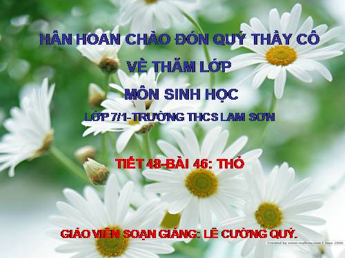 Bài 46. Thỏ