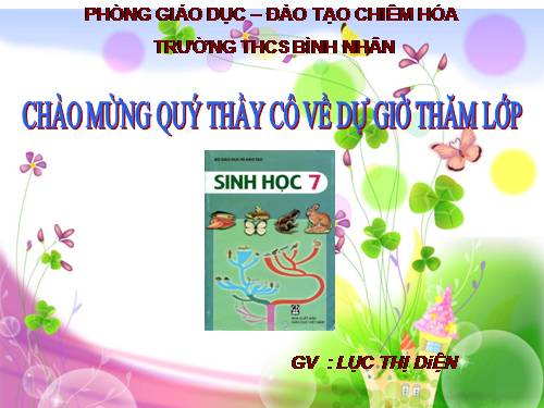 Bài 38. Thằn lằn bóng đuôi dài