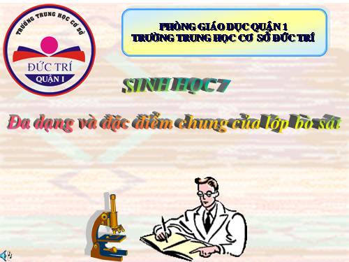 Bài 40. Đa dạng và đặc điểm chung của lớp Bò sát