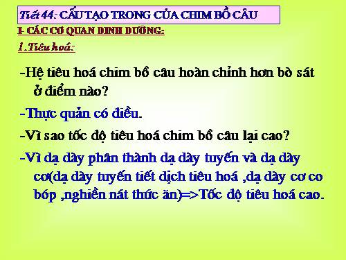 Bài 43. Cấu tạo trong của chim bồ câu