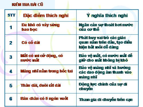 Bài 39. Cấu tạo trong của thằn lằn