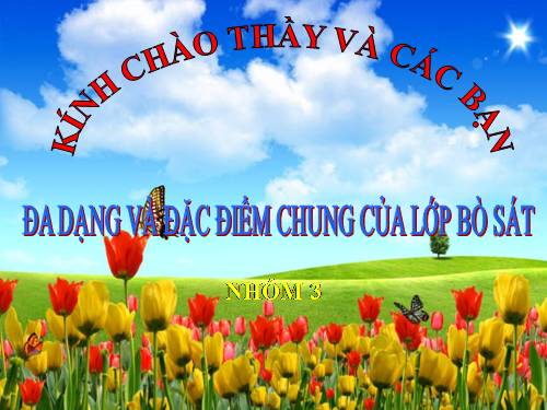 Bài 40. Đa dạng và đặc điểm chung của lớp Bò sát