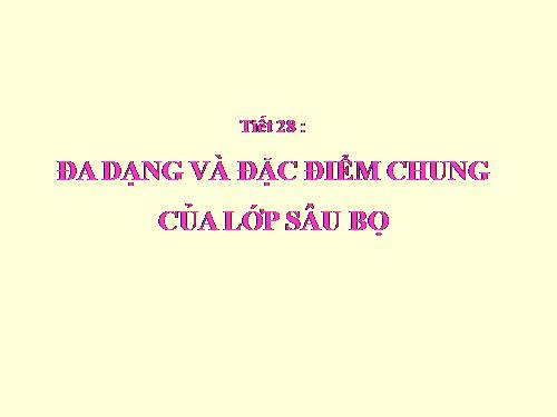 Bài 27. Đa dạng và đặc điểm chung của lớp Sâu bọ