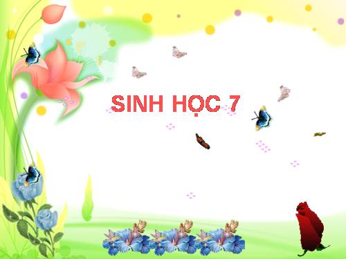 Bài 20. Thực hành: Quan sát một số thân mềm