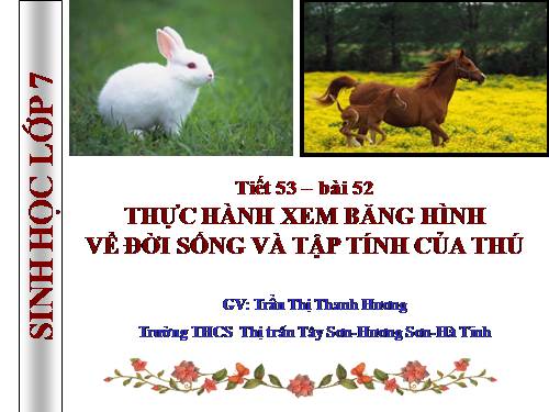 Bài 52. Thực hành: Xem băng hình về đời sống và tập tính của Thú