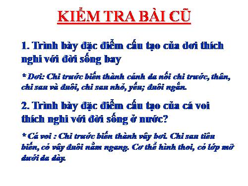 Bài 50. Đa dạng của lớp Thú: Bộ Ăn sâu bọ, bộ Gặm nhấm, bộ Ăn thịt