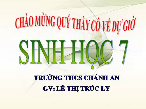 Bài 33. Cấu tạo trong của cá chép