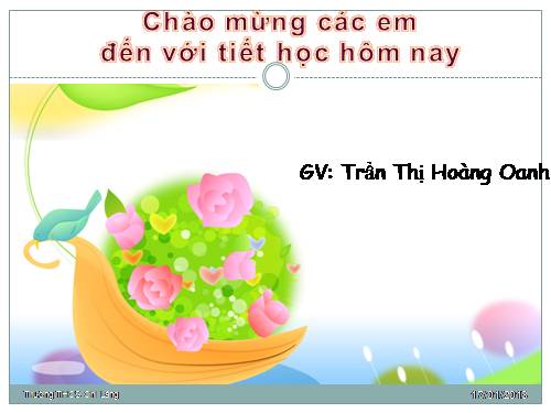 Bài 28. Thực hành: Xem băng hình về tập tính của sâu bọ