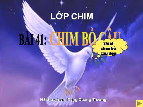 Bài 41. Chim bồ câu