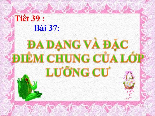 Bài 37. Đa dạng và đặc điểm chung của lớp Lưỡng cư