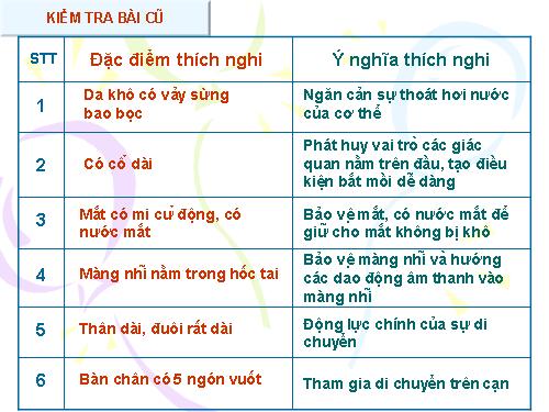 Bài 39. Cấu tạo trong của thằn lằn