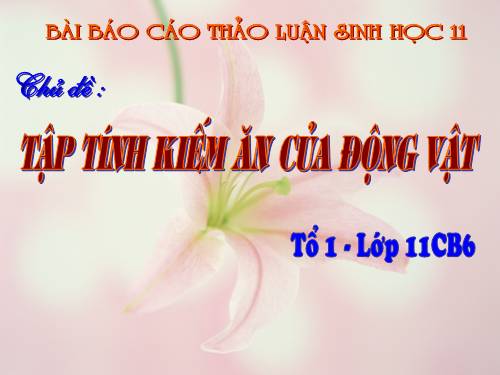 Tập tính kiếm ăn của động vật