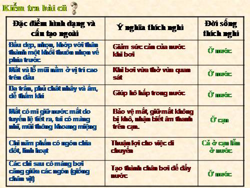 Bài 37. Đa dạng và đặc điểm chung của lớp Lưỡng cư