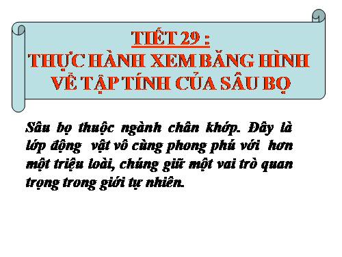 Bài 28. Thực hành: Xem băng hình về tập tính của sâu bọ