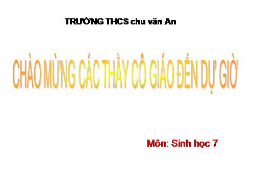 Bài 18. Trai sông