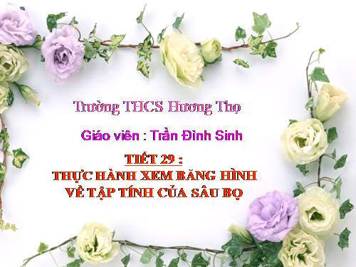 Bài 28. Thực hành: Xem băng hình về tập tính của sâu bọ