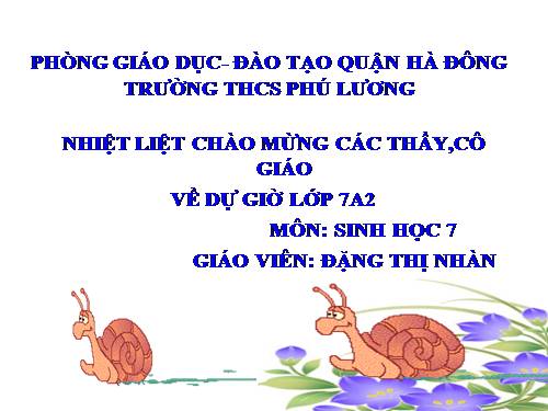 Bài 21. Đặc điểm chung và vai trò của ngành Thân mềm