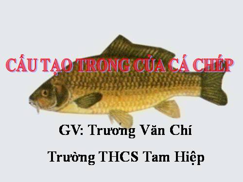 Bài 33. Cấu tạo trong của cá chép