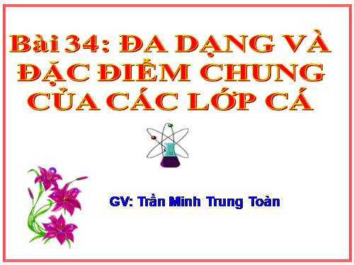 Bài 34. Đa dạng và đặc điểm chung của các lớp Cá