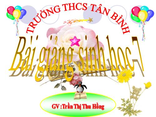 Bài 30. Ôn tập phần I - Động vật không xương sống