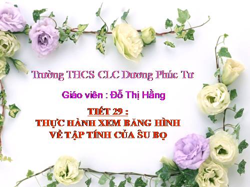 Bài 28. Thực hành: Xem băng hình về tập tính của sâu bọ