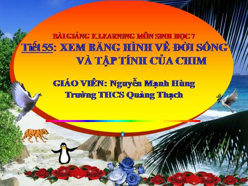 Bài 45. Thực hành: Xem băng hình về đời sống và tập tính của chim