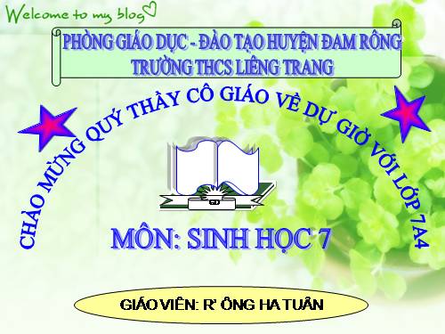 Bài 26. Châu chấu