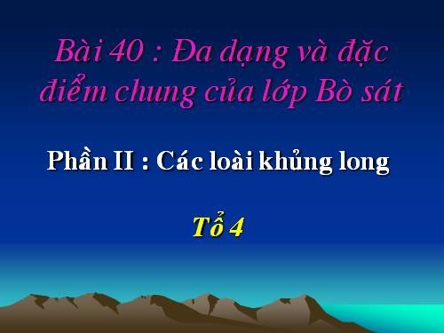 Bài 40. Đa dạng và đặc điểm chung của lớp Bò sát