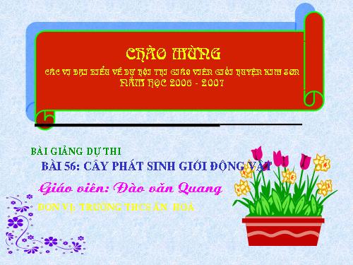 Bài 56. Cây phát sinh giới Động vật