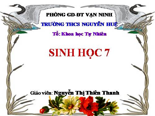 Bài 7. Đặc điểm chung và vai trò thực tiễn của Động vật nguyên sinh