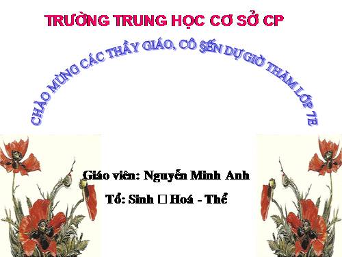 Bài 23. Thực hành: Mổ và quan sát tôm sông