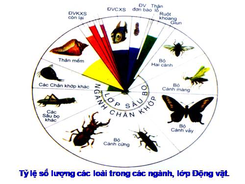 Bài 28. Thực hành: Xem băng hình về tập tính của sâu bọ