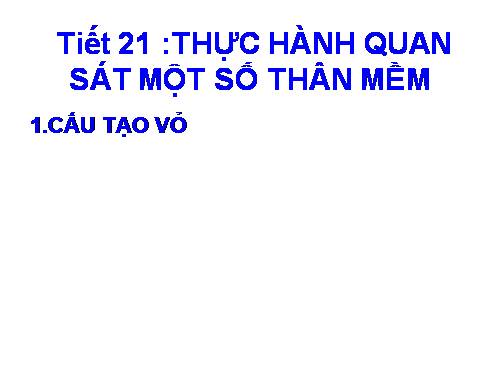 Bài 20. Thực hành: Quan sát một số thân mềm