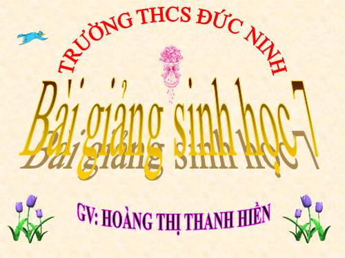 Bài 21. Đặc điểm chung và vai trò của ngành Thân mềm