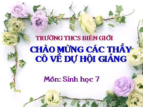 Bài 25. Nhện và sự đa dạng của lớp Hình nhện