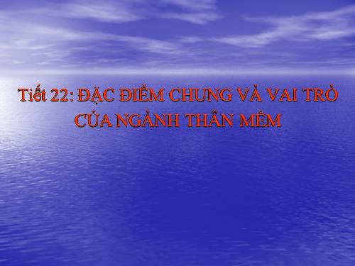 Bài 21. Đặc điểm chung và vai trò của ngành Thân mềm