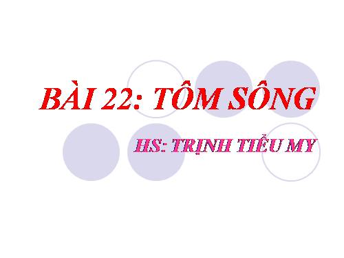 Bài 22. Tôm sông