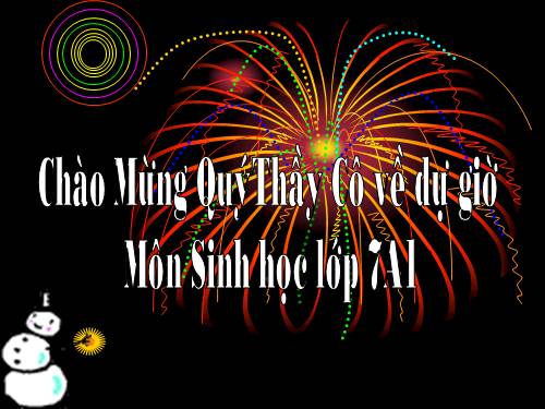 Bài 21. Đặc điểm chung và vai trò của ngành Thân mềm