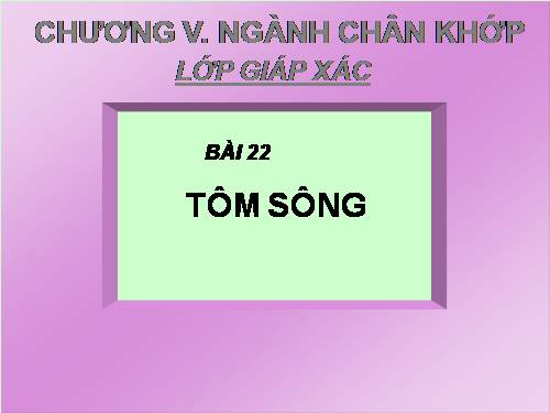 Bài 22. Tôm sông