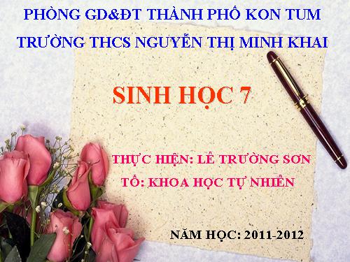 Bài 51. Đa dạng của lớp Thú: Các bộ Móng guốc và bộ Linh trưởng