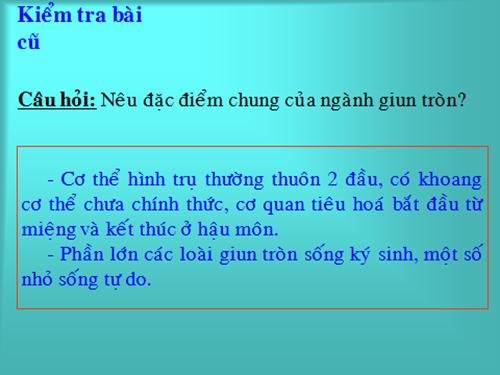 Bài 15. Giun đất