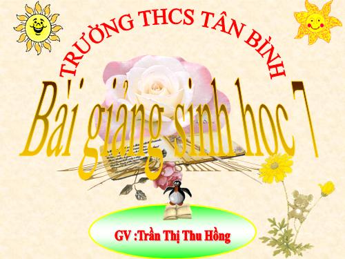 Bài 21. Đặc điểm chung và vai trò của ngành Thân mềm