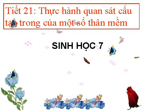 Bài 20. Thực hành: Quan sát một số thân mềm