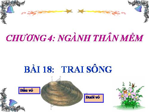 Bài 18. Trai sông