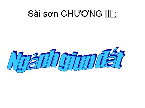 Bài 16. Thực hành: Mổ và quan sát giun đất