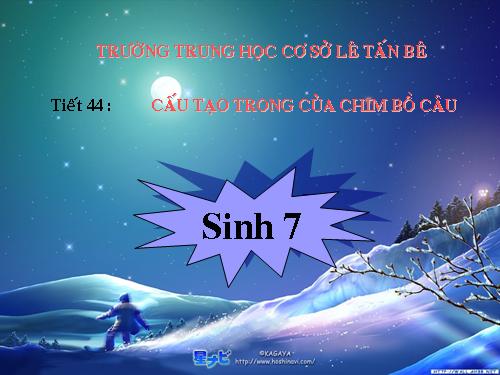 Bài 43. Cấu tạo trong của chim bồ câu