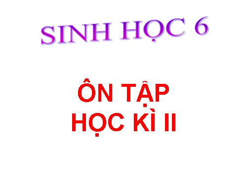 on tap sinh 6 hk2