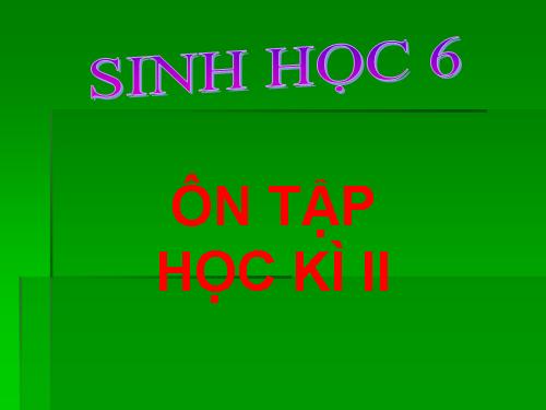 on tap sinh 6 hoc ky 1