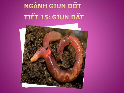 Bài 15. Giun đất