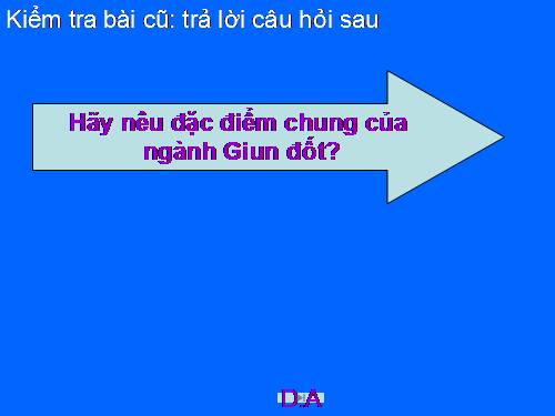 Bài 13. Giun đũa